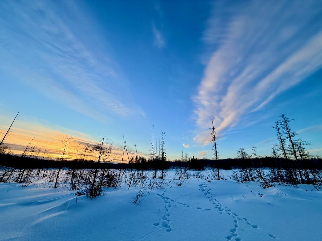 Dera 2026 - snow scenes (2).jpeg