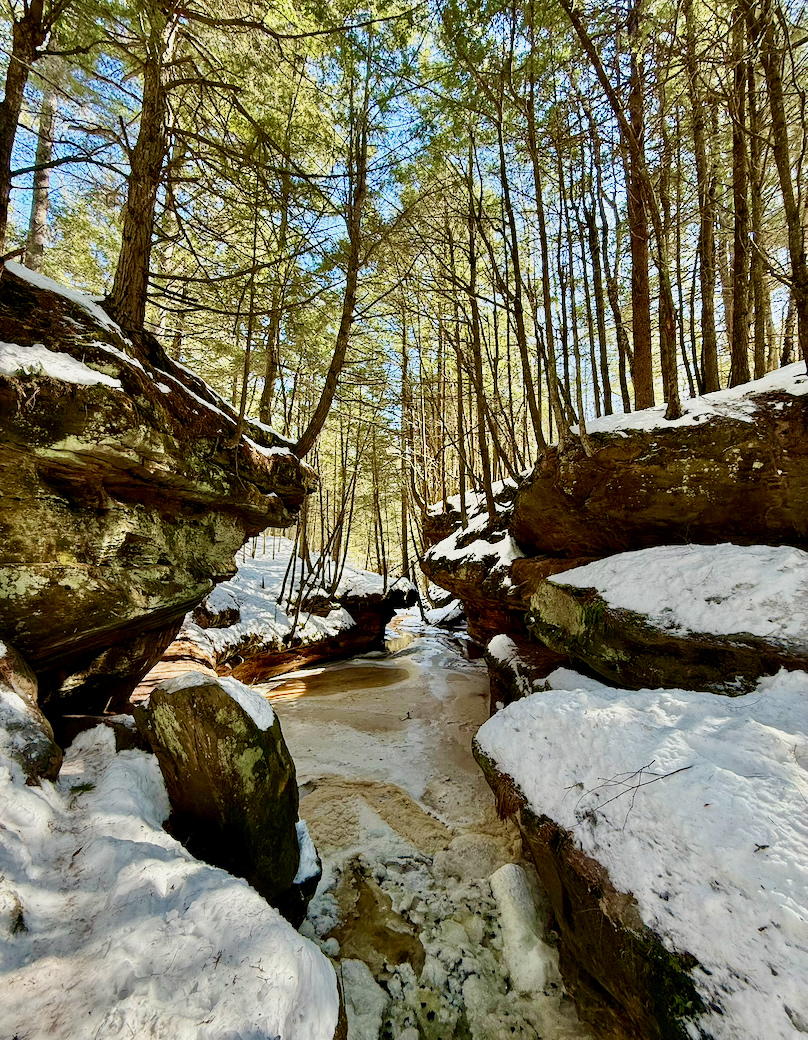 Dera 2026 - snow scenes (3).jpeg