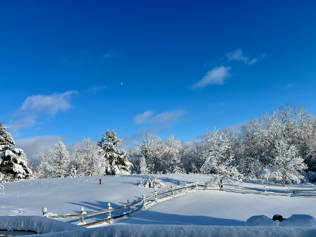 Dera 2026 - snow scenes.jpeg