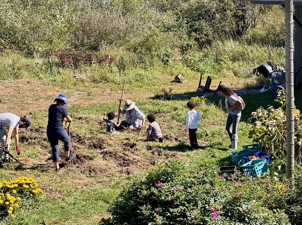 17 Dera 2024 - garden workers.jpeg