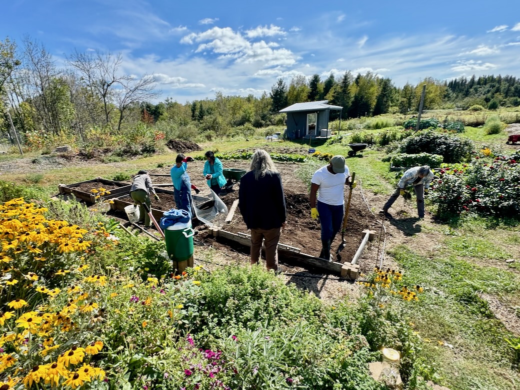 18 Dera 2024 - raised garden beds.jpeg