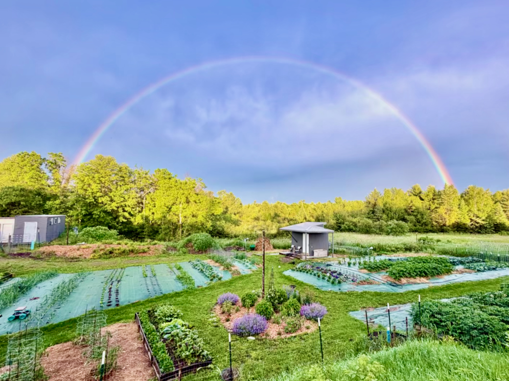 13 Dera 2026 Bill H rainbow.jpeg